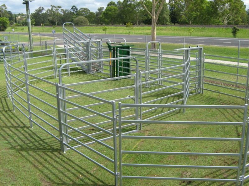 Cattle Fence