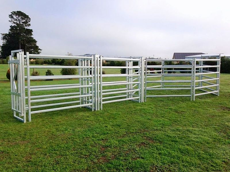 Cattle Fence