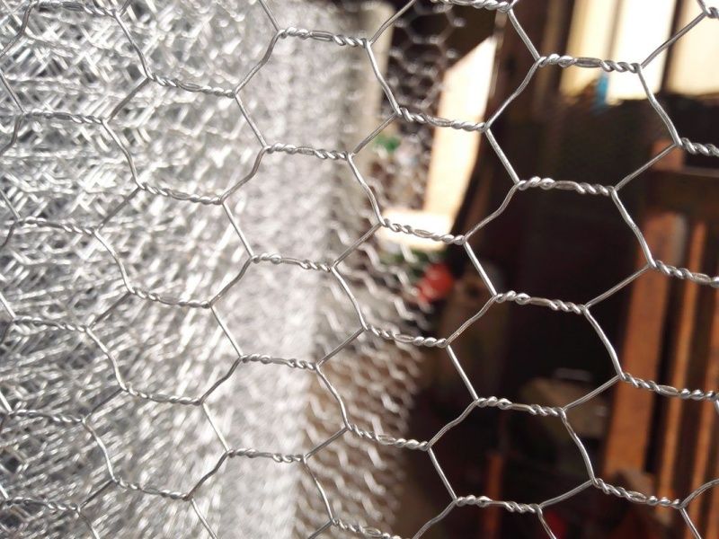 Hexagonal Wire Netting